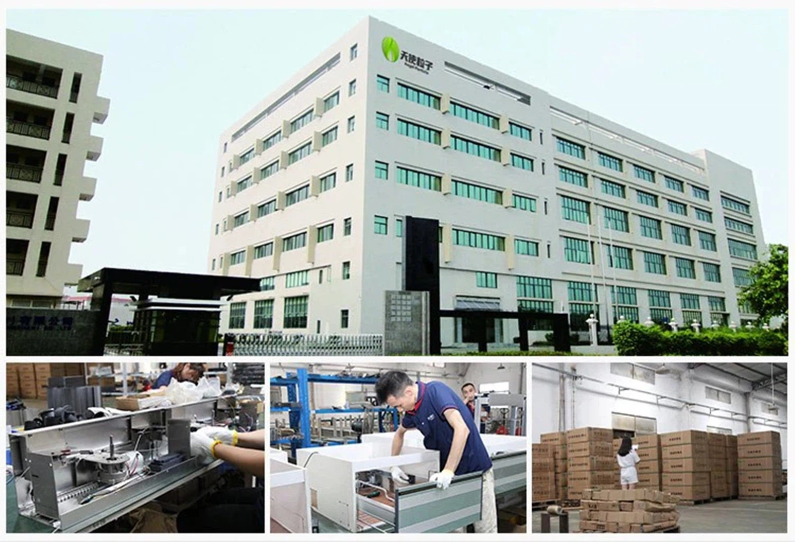 product-1600-1090 product-1600-1090